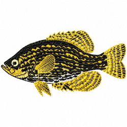 Fishes Embroidery Design 3 Fishes Embroidery Design 3